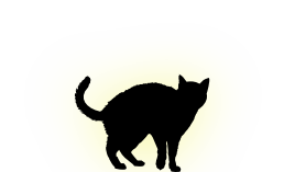 Spirit transfiguration