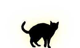 Spirit transfiguration